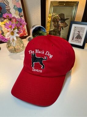 The Black Dog Tavern Embroidered Red Cap by 47 Brand Taylor Swift